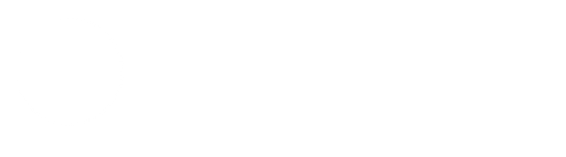Planetary Scale